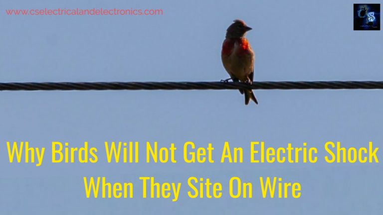 Why birds will not get an electric shock