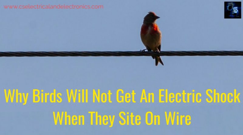 Why birds will not get an electric shock