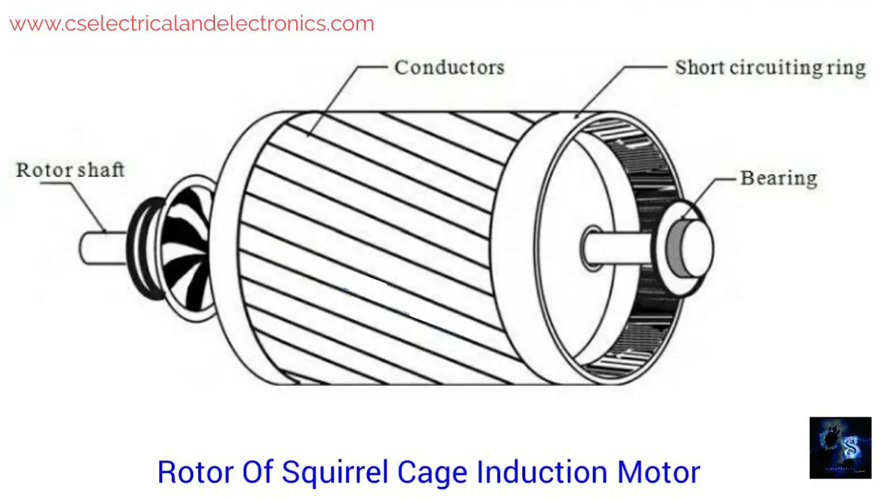 Squirrel cage induction motor.
